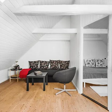 Fy245-assens-ramsherred-25 * Assens